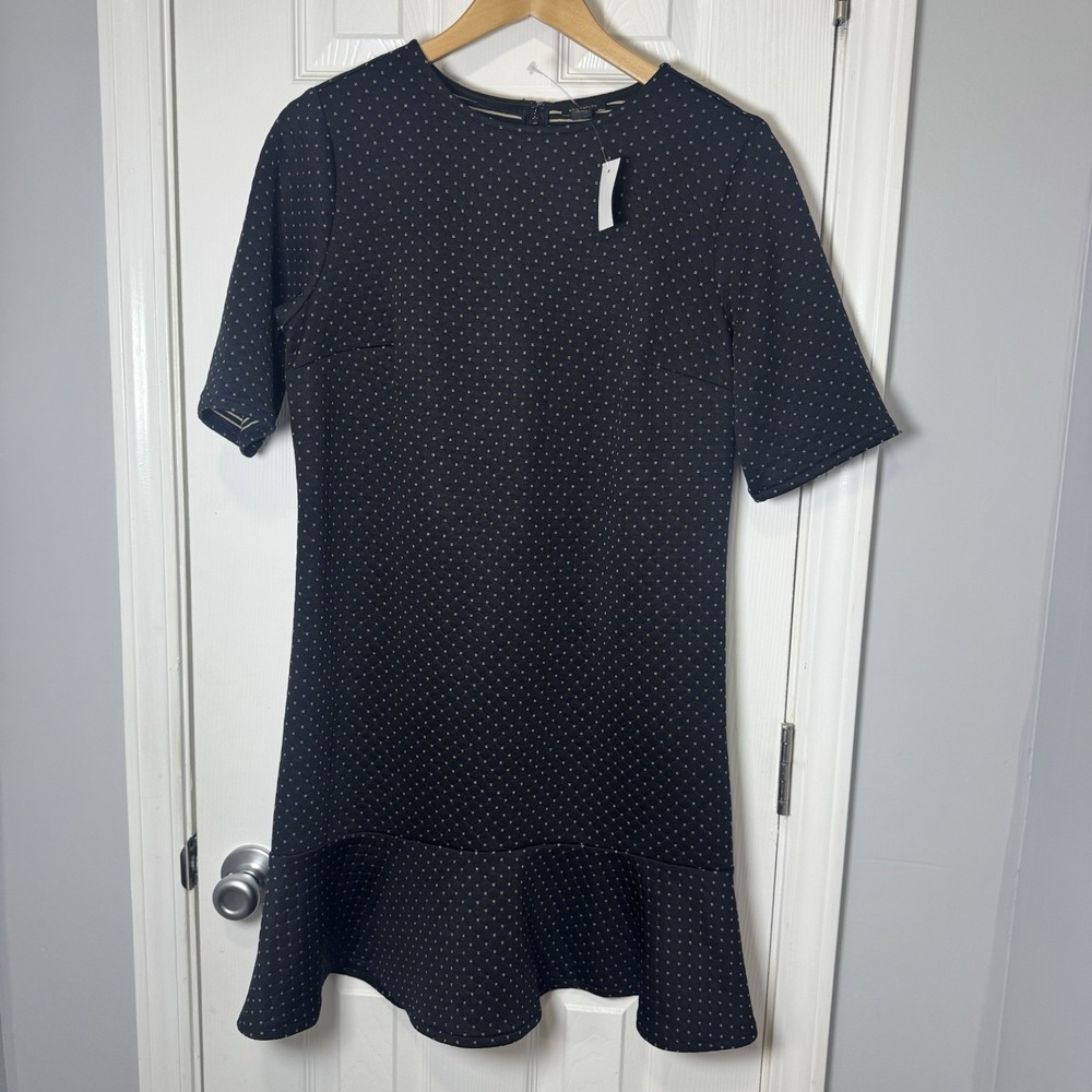 Ann Taylor Loft Dobby‎ Sheath Womens Short Sleeve Ruffle Dress Size 10 Nwt